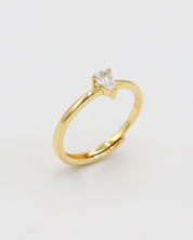 Leighton Ring