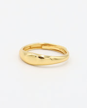 Vic Ring