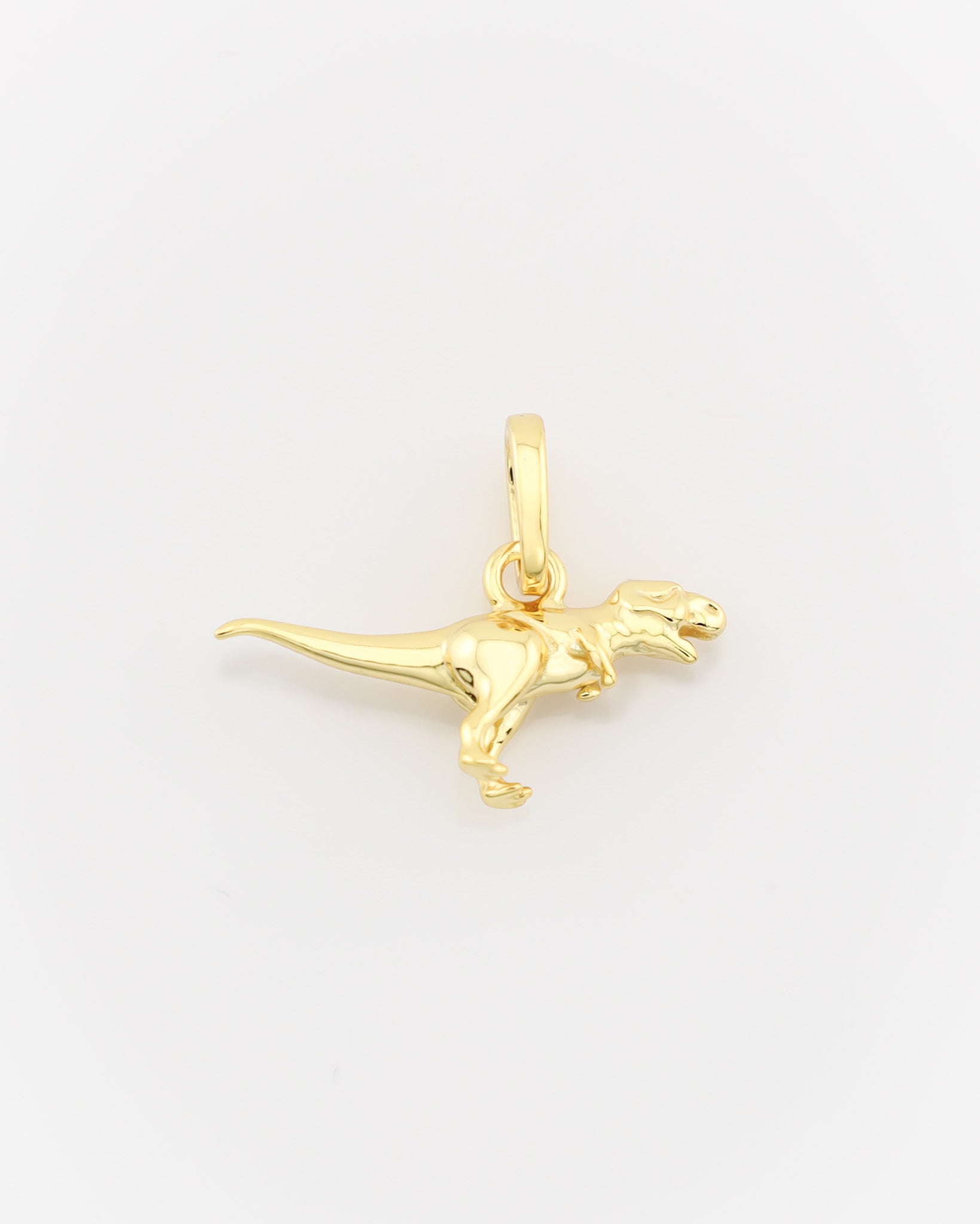 Gold dinosaur pendant on a white background