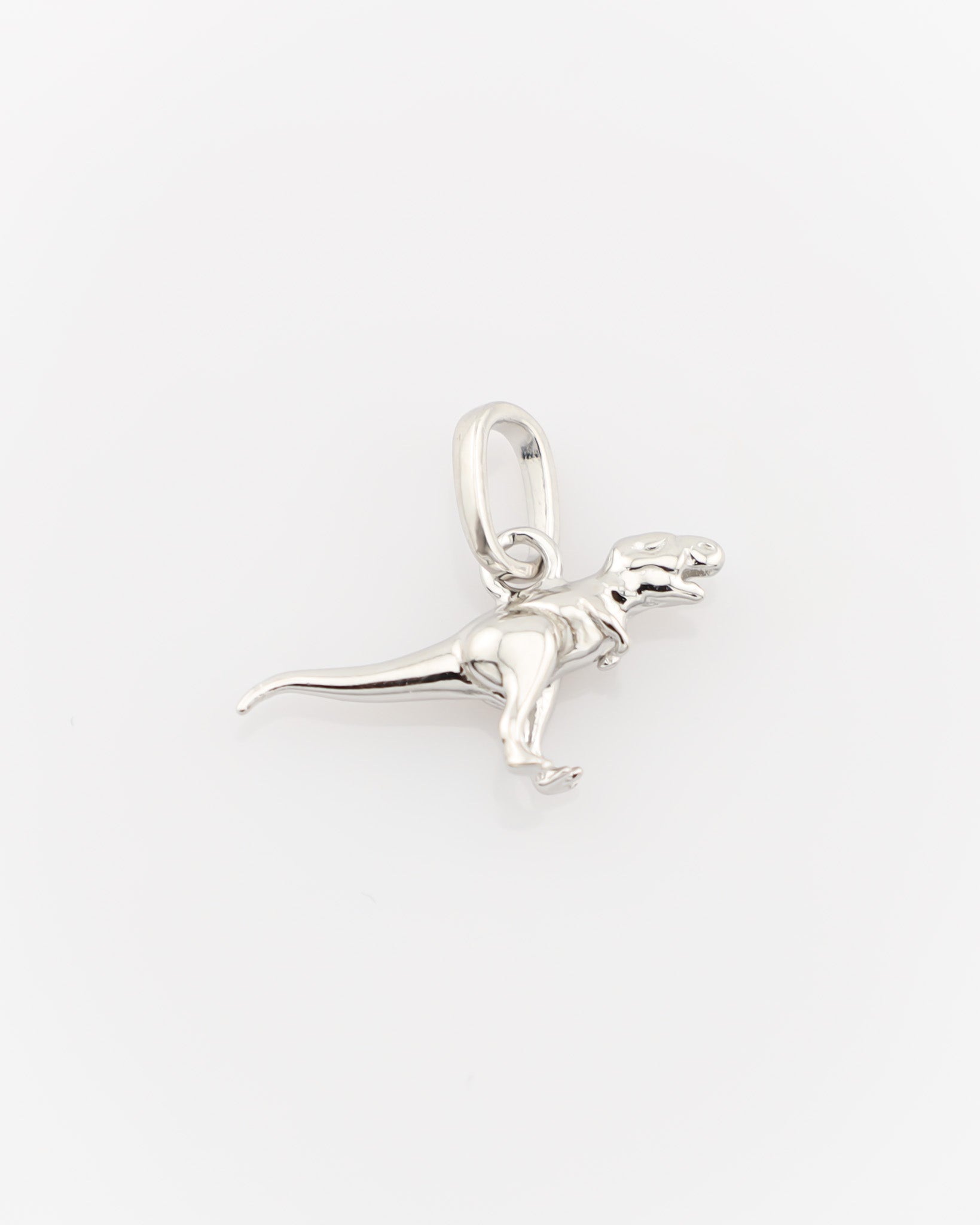 Silver dog pendant on a white background