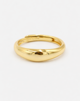Aiden Ring