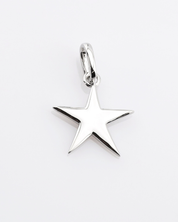Silver star-shaped pendant on a white background