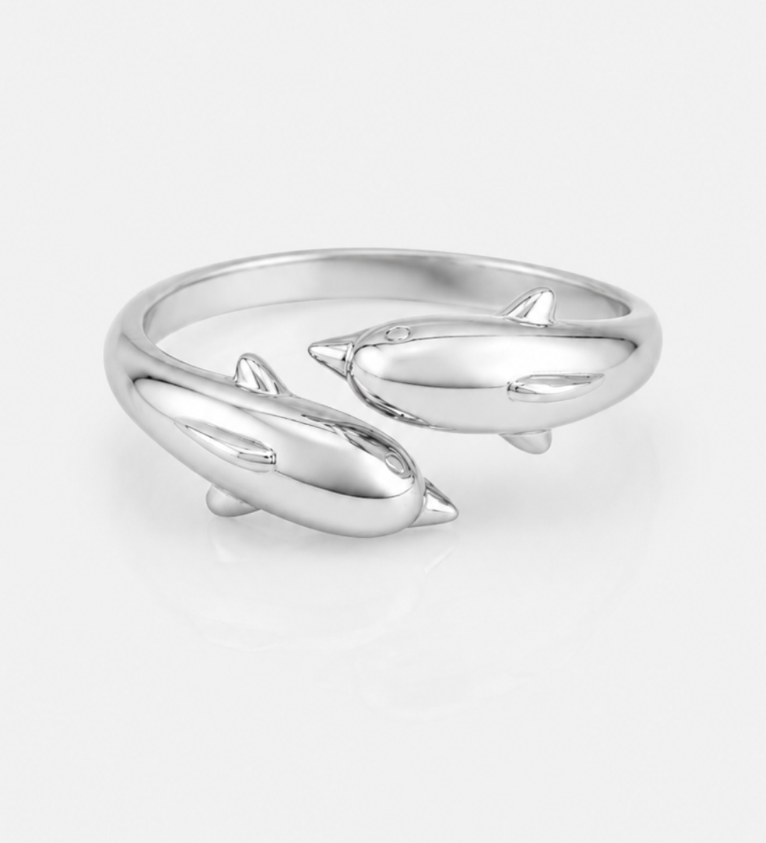 Dixie_Ring_Silver_1.png