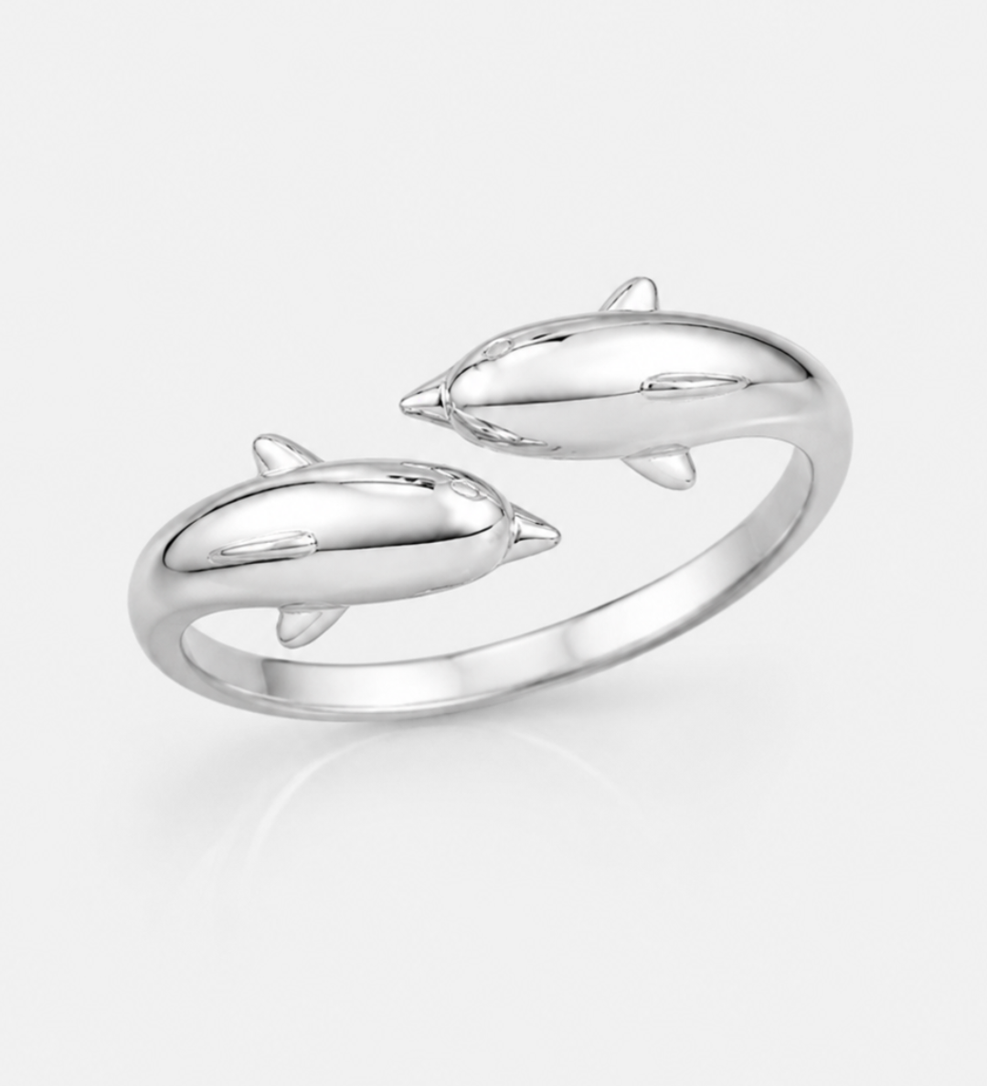 Dixie_Ring_Silver_2.png