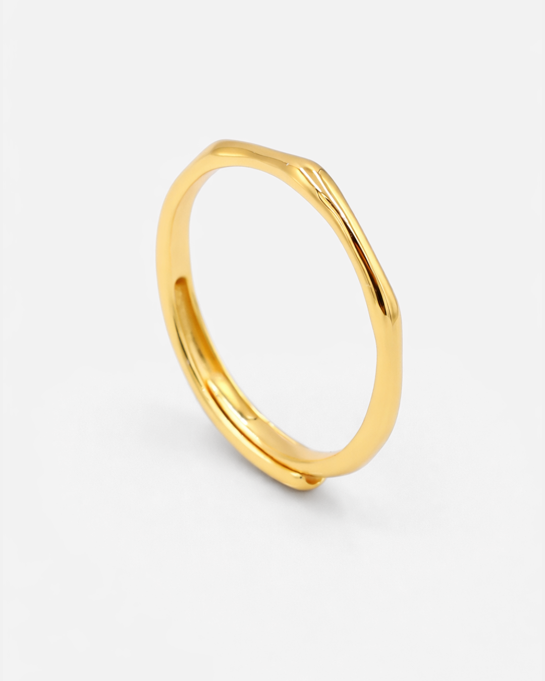Lisanne Ring