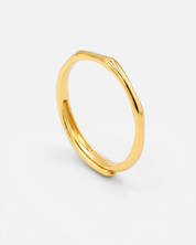 Lisanne Ring