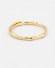 Lisanne Ring