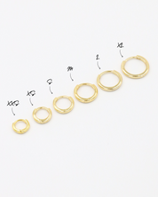 A series of circular gold colored hoops of varying sizes arranged in a line on a white background.