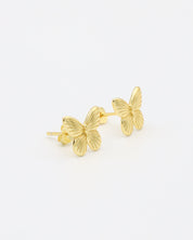 Papillon Gold