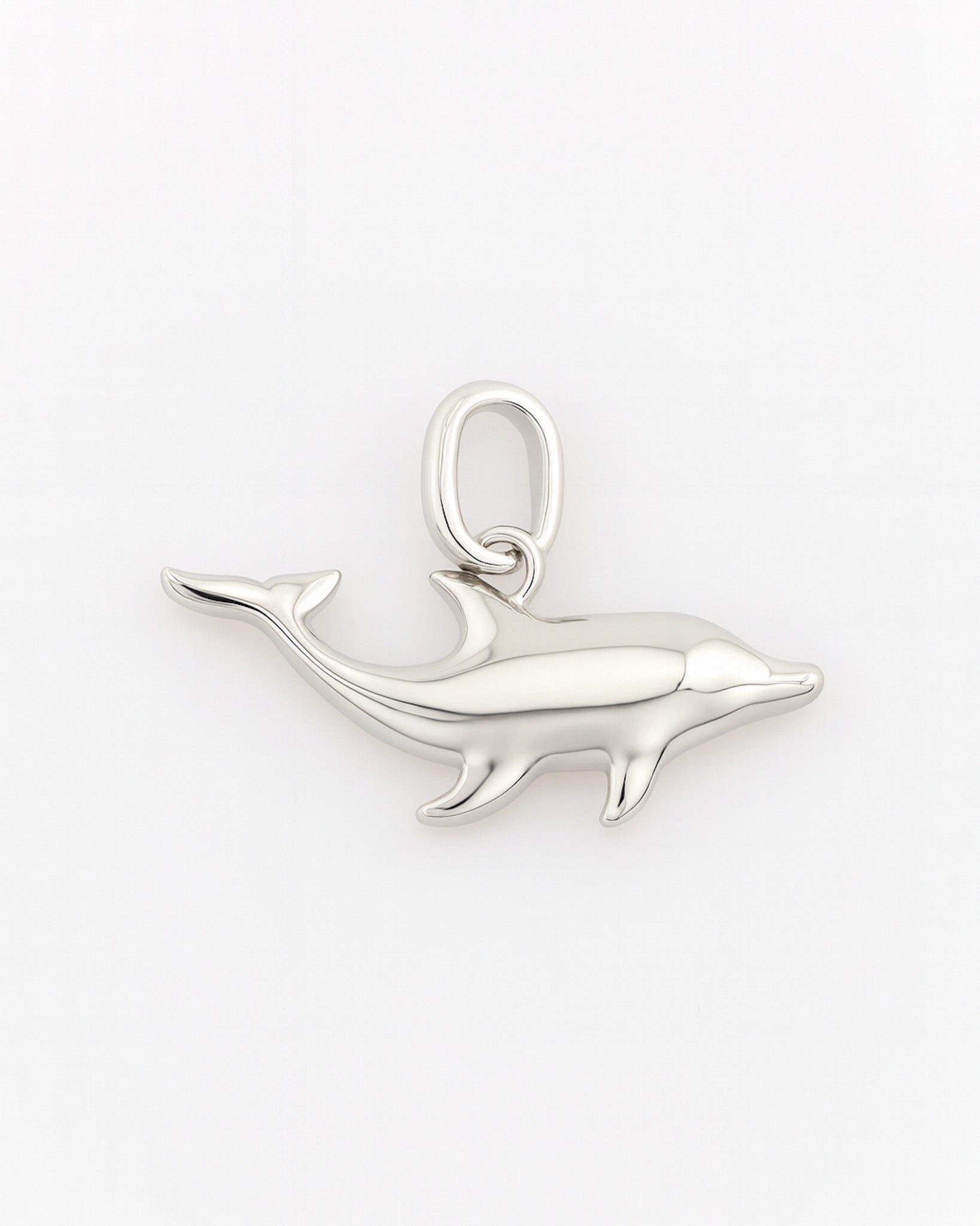 Silver dolphin pendant on a white background