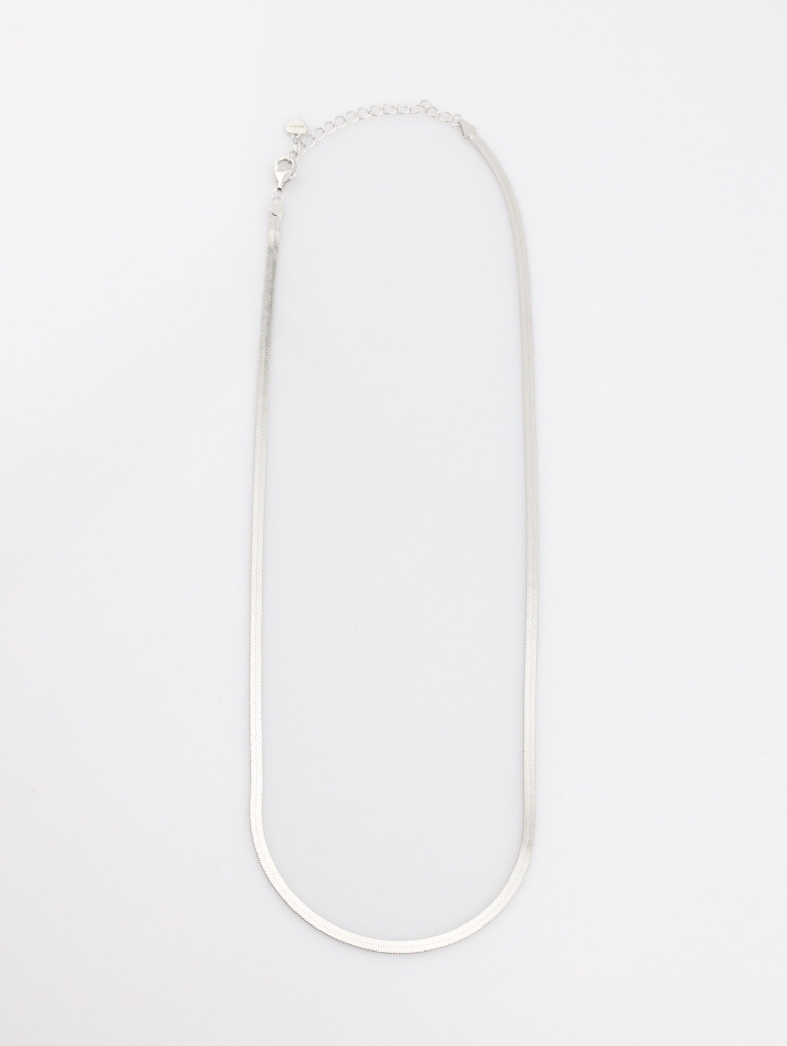 Thin silver chain necklace on a white background