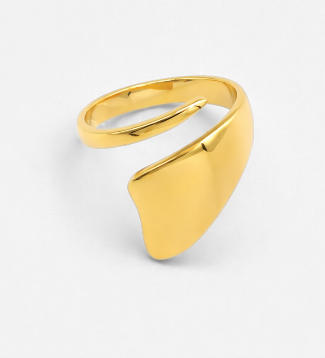 Terry_Ring_Gold_2.png