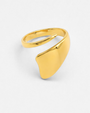 Terry Ring