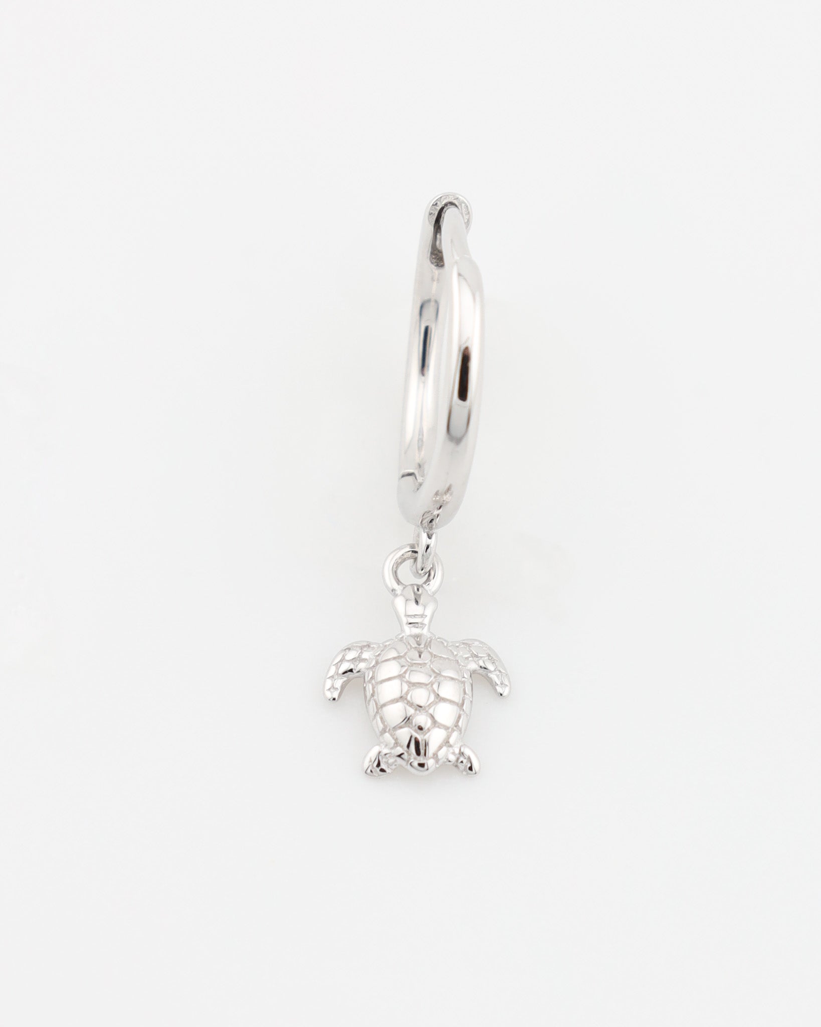 Silver hoop earring with a turtle charm on a white background