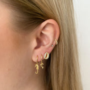 Seahorse Gold